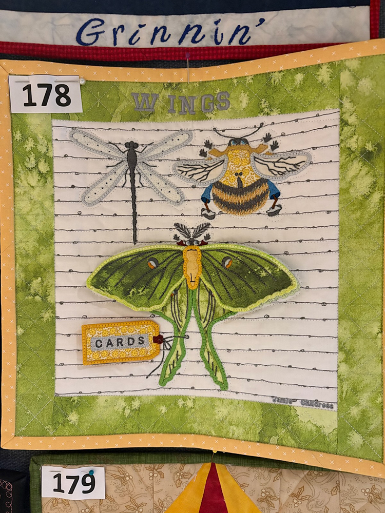 The Quilt Square Auction Viewer’s Choice was “Luna Moth” created by Jamie Childress of Calloway County.